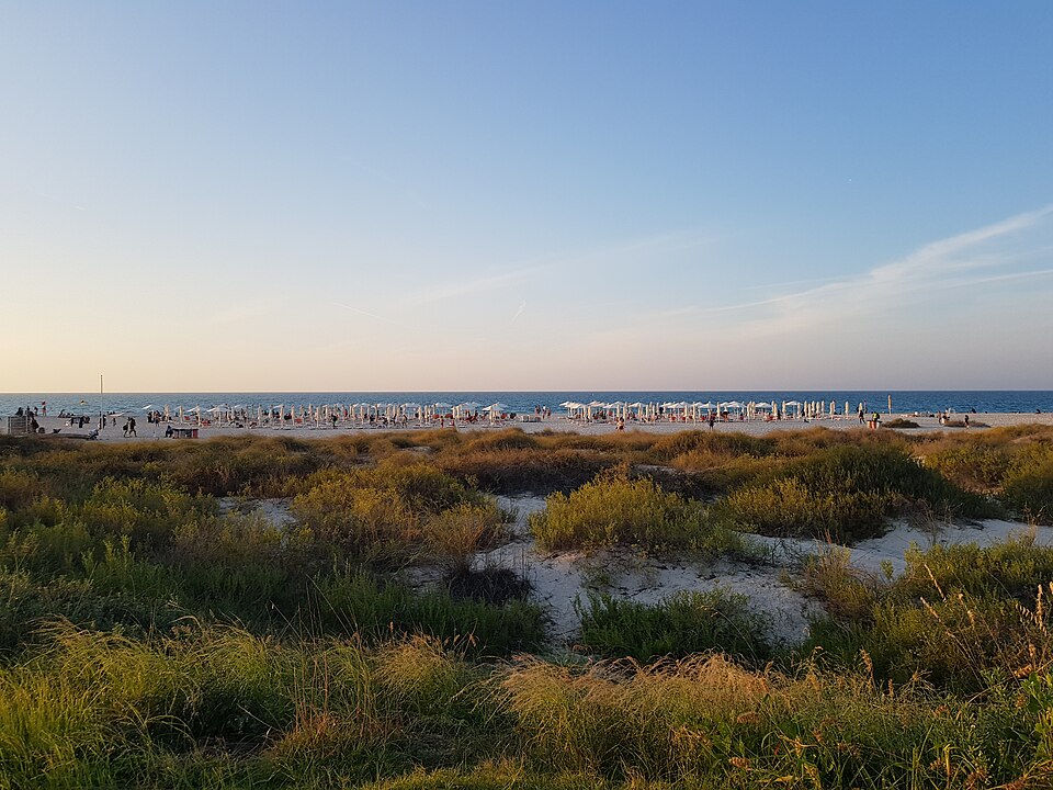 Saadiyat public beach, Abu Dhabi.